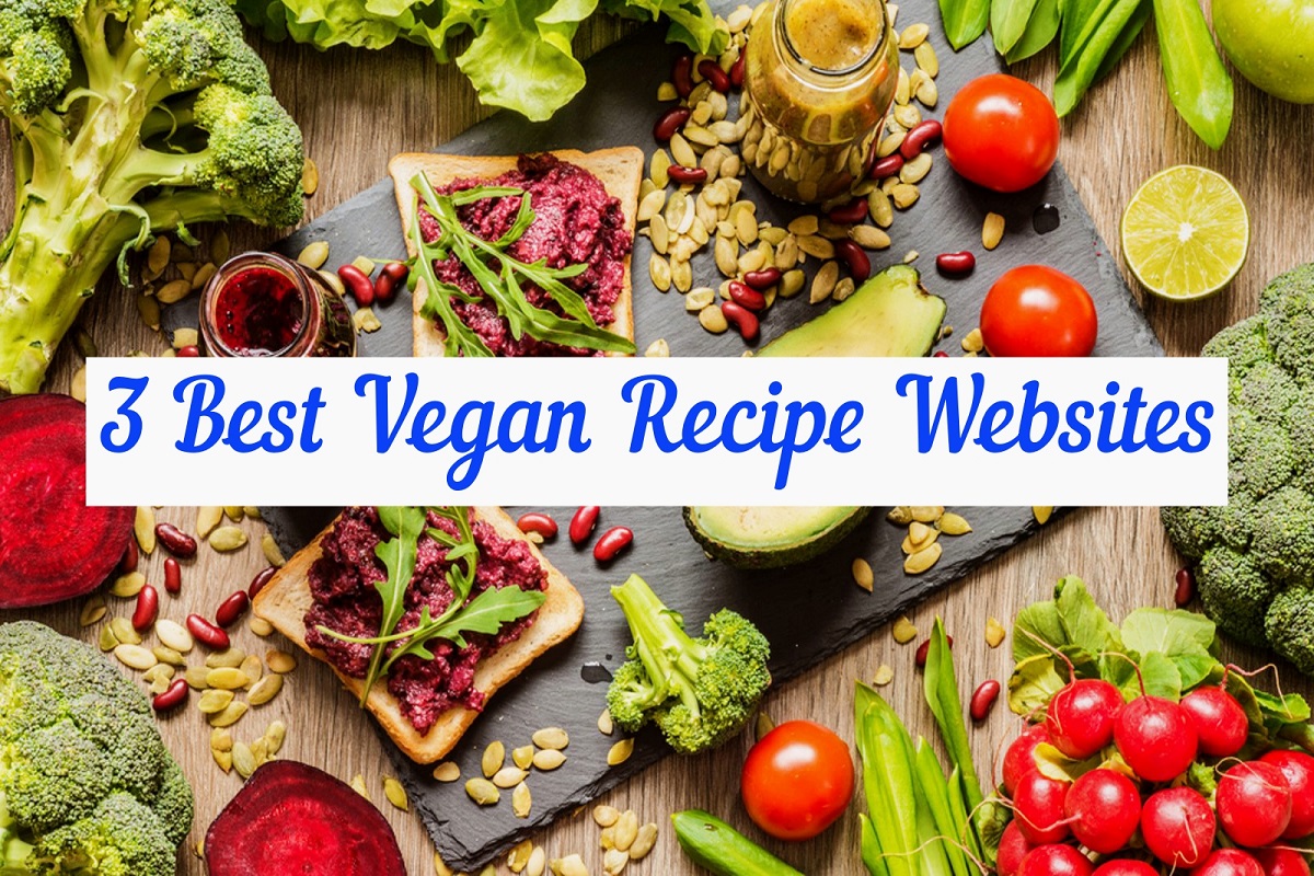 3 Best Vegan Recipe Websites