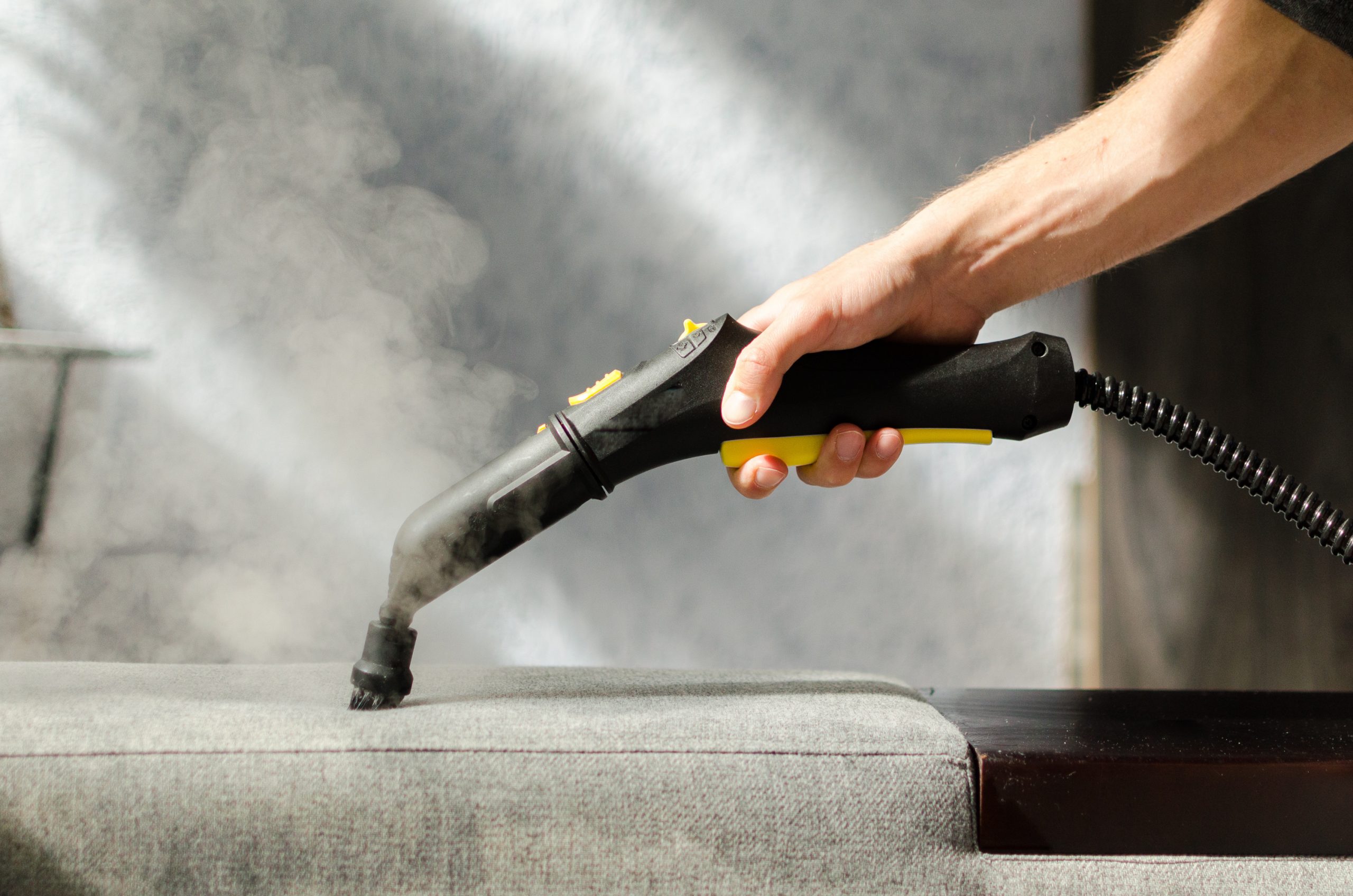 Dry steam is an effective, fast, and nontoxic alternative to chemicals